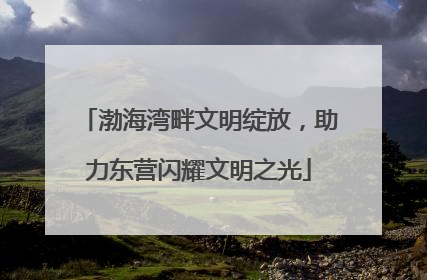 渤海湾畔文明绽放，助力东营闪耀文明之光